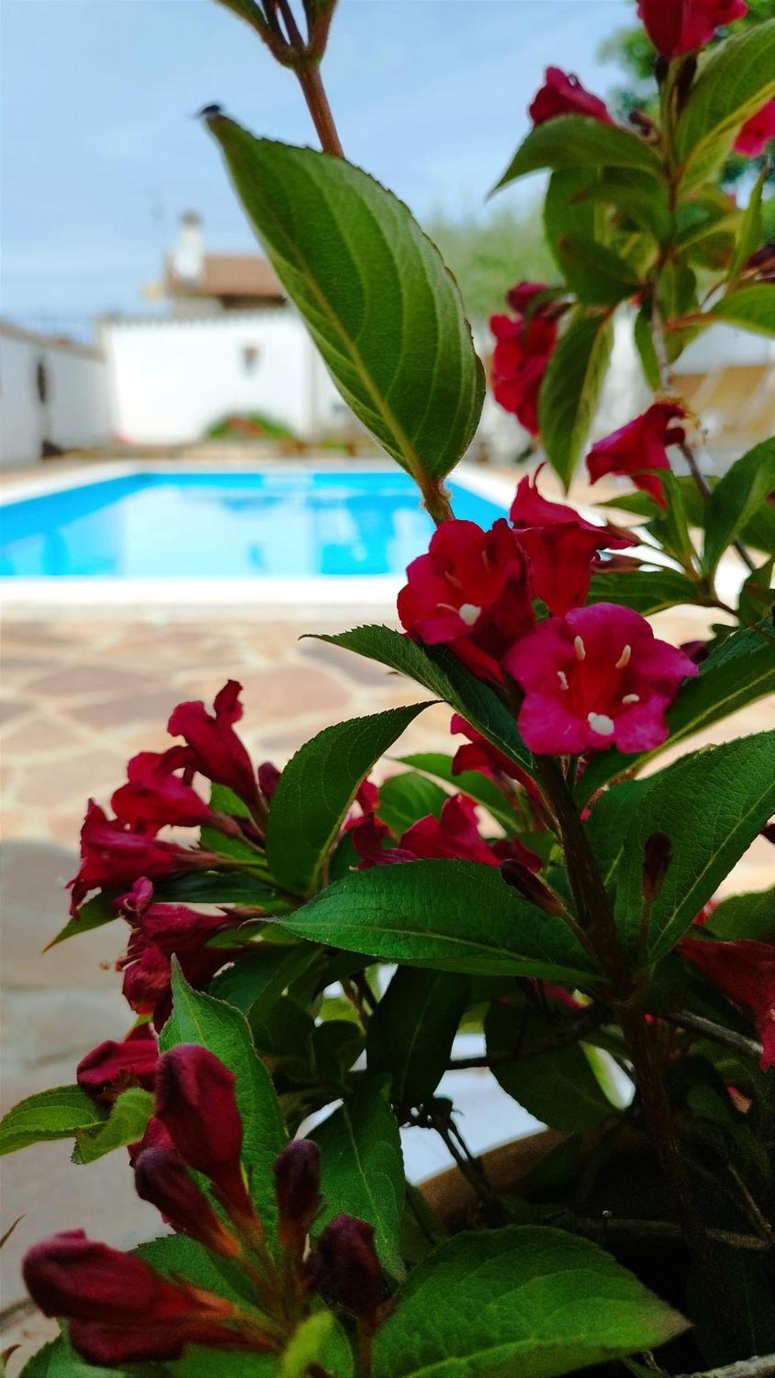 Villa "Pied-A-Terre" Residence & Spa Umag Extérieur photo