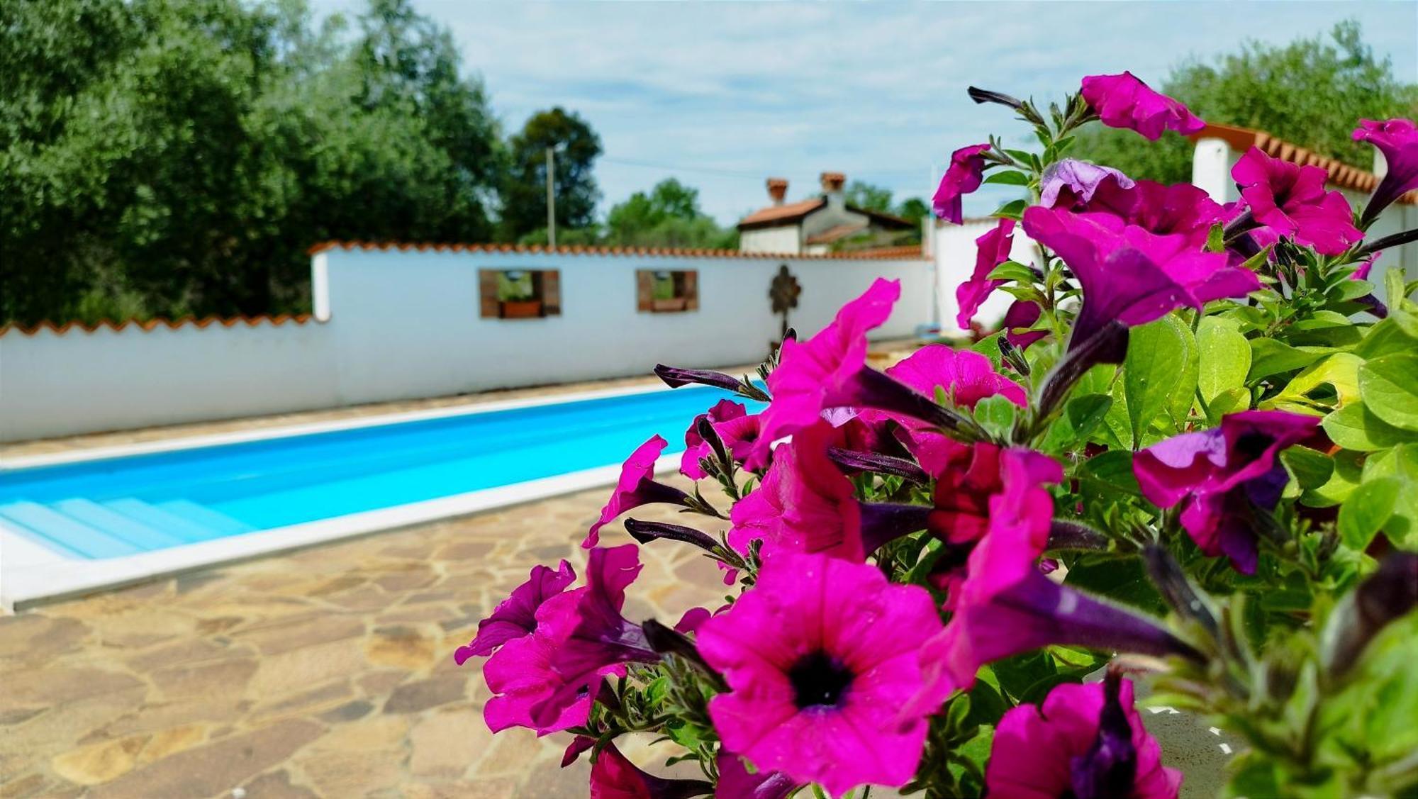 Villa "Pied-A-Terre" Residence & Spa Umag Extérieur photo